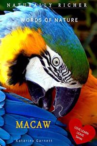 Macaw