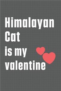 Himalayan Cat is my valentine