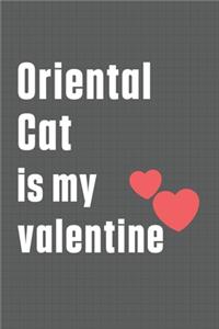 Oriental Cat is my valentine