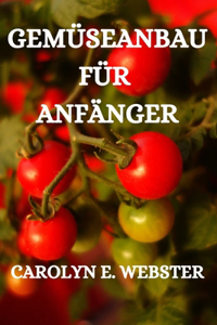 Gemüseanbau Für Anfänger