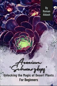 Aeonium 'Schwarzkopf'