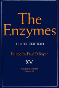 The Enzymes
