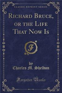 Richard Bruce, or the Life That Now Is (Classic Reprint)