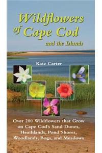 Wildflowers of Cape Cod & the Islands