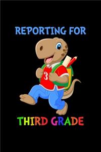 Reporting For 3rd Grade