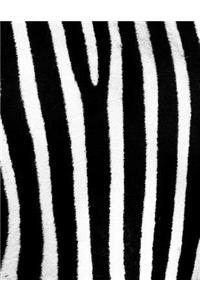 Zebra Skin Design