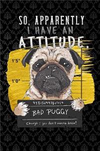 So, Apparently I Have An Attitude