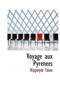 Voyage aux Pyrénées