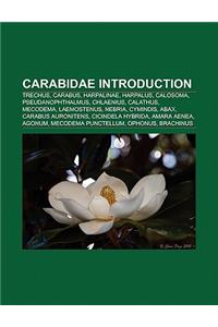 Carabidae Introduction