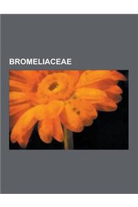 Bromeliaceae: Aechmea, Ananas, Billbergia, Bromelia, Catopsis, Dyckia, Encholirium, Fascicularia, Guzmania, Navia (Planta), Neoregel