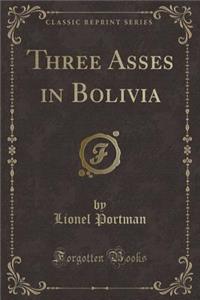 Three Asses in Bolivia (Classic Reprint)