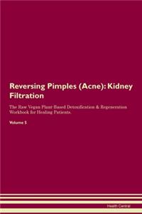 Reversing Pimples (Acne): Kidney Filtration The Raw Vegan Plant-Based Detoxification & Regeneration Workbook for Healing Patients.Volume 5