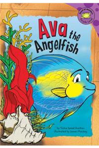Ava the Angelfish
