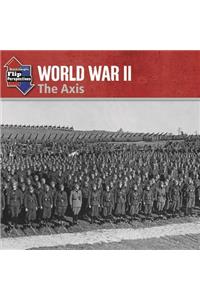 Steck-Vaughn Onramp Approach Flip Perspectives