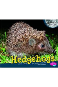 Hedgehogs