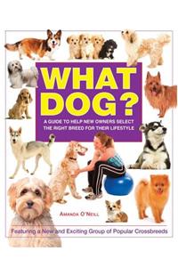 What Dog?
