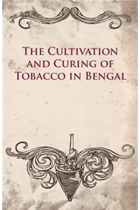 Cultivation and Curing of Tobacco in Bengal