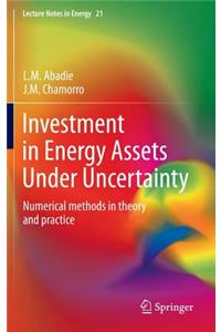 Investment in Energy Assets Under Uncertainty