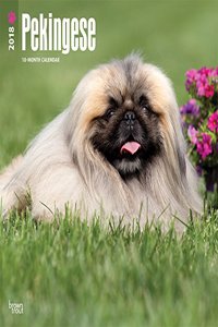 2018 Pekingese Wall Calendar