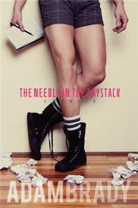 Needle in the Gaystack