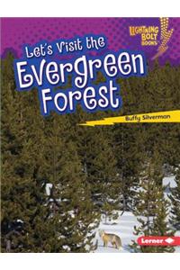 Let's Visit the Evergreen Forest