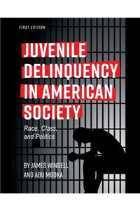 Juvenile Delinquency in American Society: Race, Class, and Politics