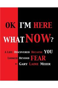Ok I'm Here What Now?