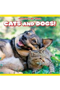 Cats and Dogs!