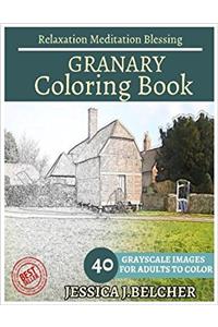 Granary Coloring Book for Adults Relaxation Meditation Blessing: Building Coloring Book , Sketch Books , Relaxation Meditation , Adult Coloring Books