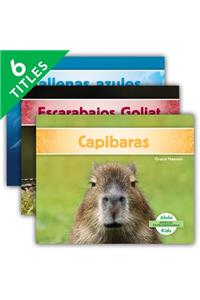 Especies Extraordinarias (Super Species) (Spanish Version) (Set)