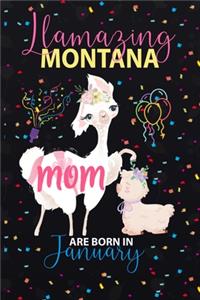 Llamazing Montana Mom are Born in January
