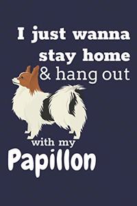 I just wanna stay home & hang out with my Papillon