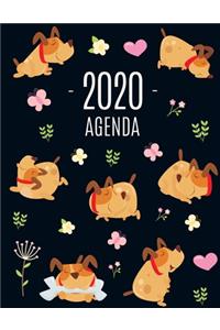 Cane Felice Agenda 2020