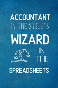 Accountant In The Streets, Wizard In The Spreadsheets