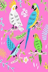 gratitude journal daily