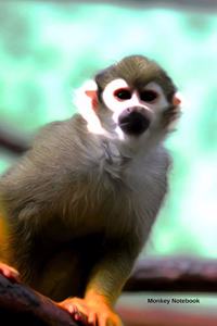 Monkey Notebook