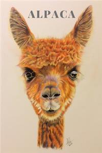 Alpaca Notebook