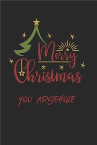 Merry Christmas You Arsehole Insult Journal