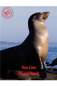 Sea Lion Sketchbook: Blank Paper for Drawing, Doodling or Sketching 120 Large Blank Pages (8.5"x11") for Sketching, inspiring, Drawing Anything Kids Love to do and to Im