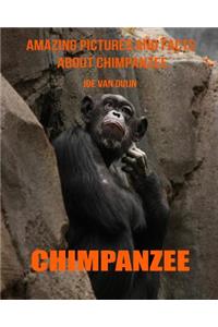 Chimpanzee: Amazing Pictures and Facts about Chimpanzee