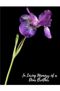 In Loving Memory of a Dear Brother