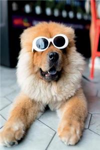 Dog Sunglasses