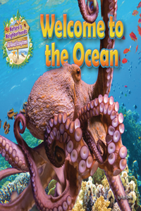 Welcome to the Ocean