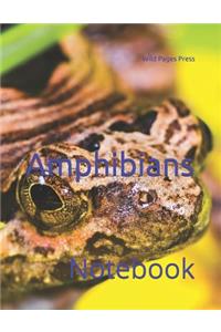 Amphibians