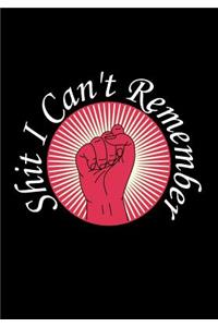 Shit I Can't Remember