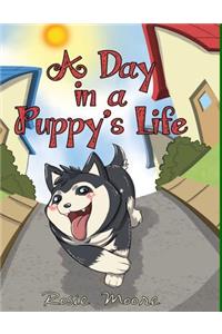 A Day In a Puppy's Life