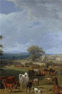 Horse Farming