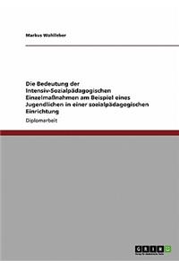 Bedeutung der Intensiv-Sozialpädagogischen Einzelmaßnahmen am Beispiel eines Jugendlichen in einer sozialpädagogischen Einrichtung