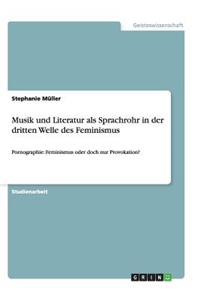 Musik und Literatur als Sprachrohr in der dritten Welle des Feminismus