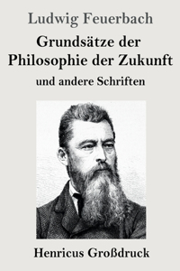 Grundsätze der Philosophie der Zukunft (Großdruck)